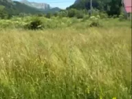 Sale, land lot, 800m², Veruša, Podgorica - image 3
