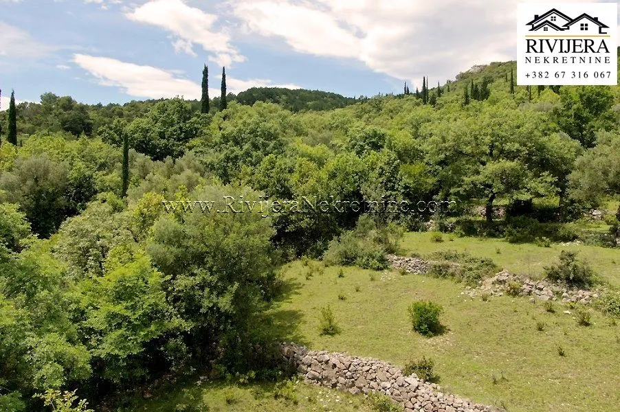 Prodaja, plac, 7325m², Mojdež, Herceg Novi