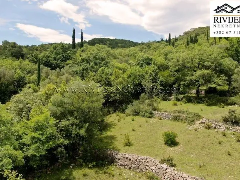 Prodaja, plac, 7325m², Mojdež, Herceg Novi - image 5