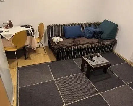 Izdavanje, jednosoban stan, 33m², Krnjaca, Palilula Sve Podlokacije - image 2