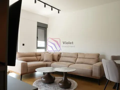 Izdavanje, jednosoban stan, 47m², Dalmatinska ulica, Podgorica - image 32