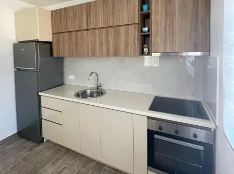 Kuhinja opremljena drvenim elementima, frižiderom i ugradnom rernom. - image 10