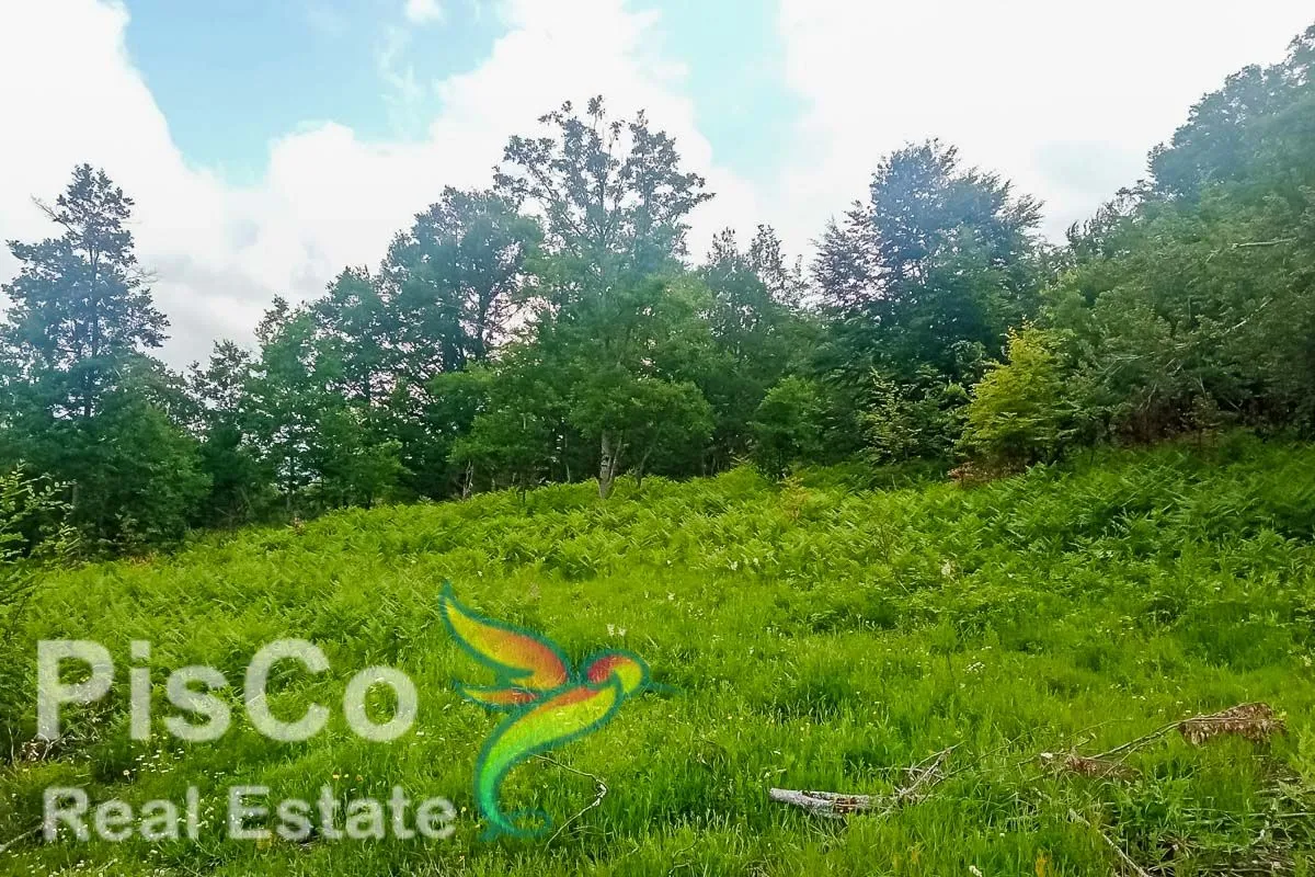 Prodaja, plac, 220000m², Kolašin, Crna Gora