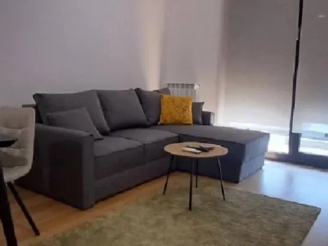 Rent, two bedroom apartment, 40m², Tošin bunar, Novi Beograd Sve Podlokacije - image 2