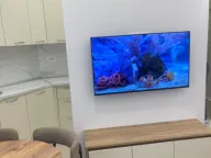 Izdavanje, jednosoban stan, 55m², Zagorič, Podgorica - image 4