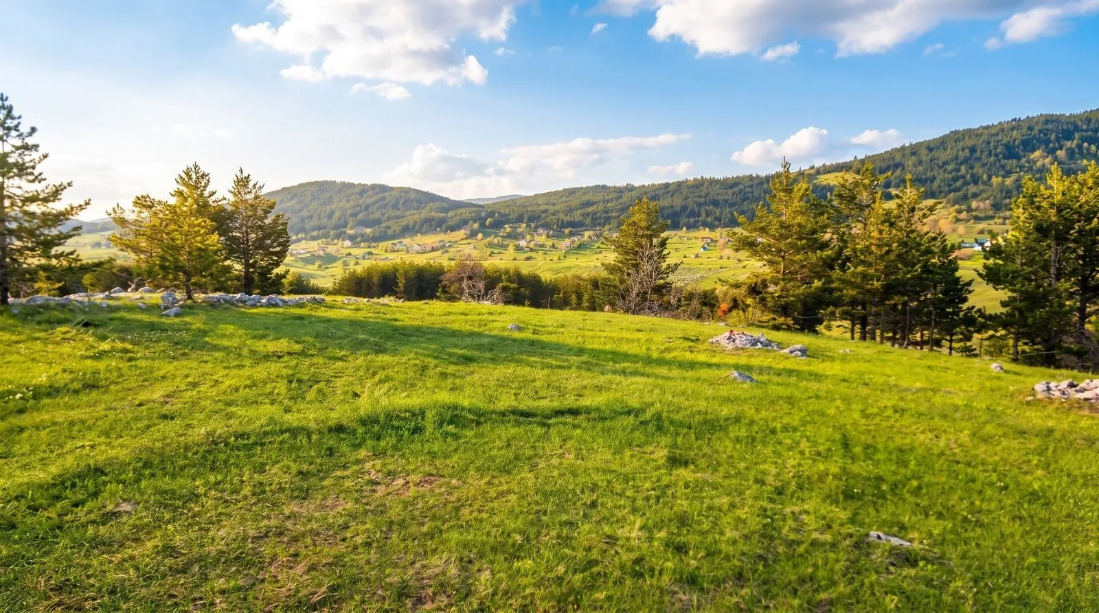 Prodaja, plac, 5000m², Žabljak, Crna Gora