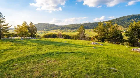 Prodaja, plac, 5000m², Žabljak, Crna Gora - image 3