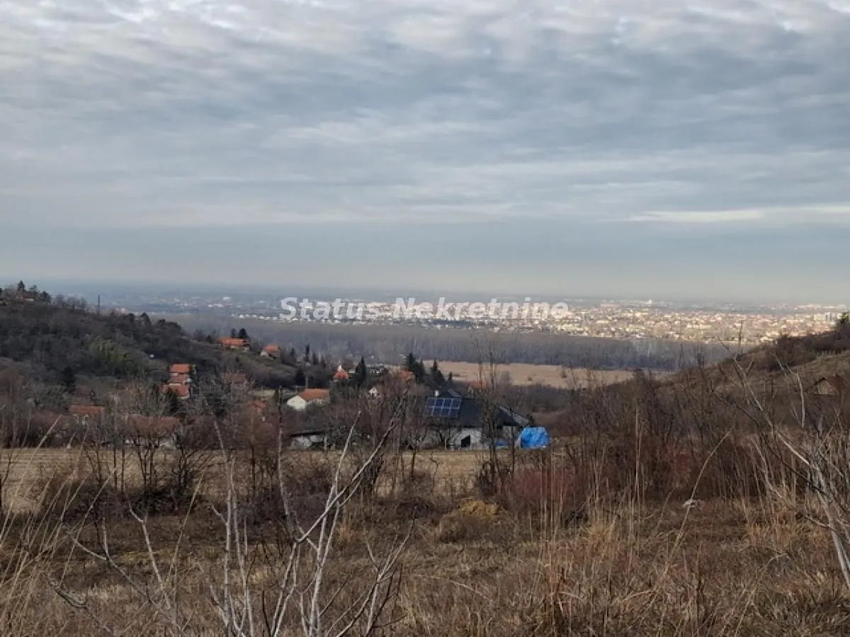 Prodaja, plac, 14994m², Ledinci, Petrovaradin