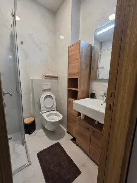 Modernly equipped bathroom with a shower cabin, washbasin, and toilet. - image 20