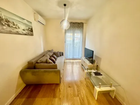 Rent, one bedroom apartment, 42m², Central Point, Podgorica - image 2