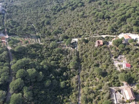 Prodaja, plac, 849m², Luštica, Herceg Novi - image 4