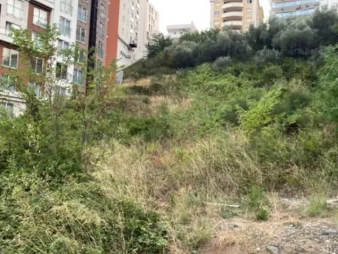 Sale, land lot, 1036m², Bečići, Budva - image 2