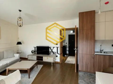 Izdavanje, jednosoban stan, 51m², Ostalo, Podgorica - image 4