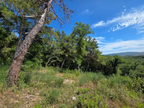 Prodaja, plac, 10850m², Kavač, Kotor - image 7
