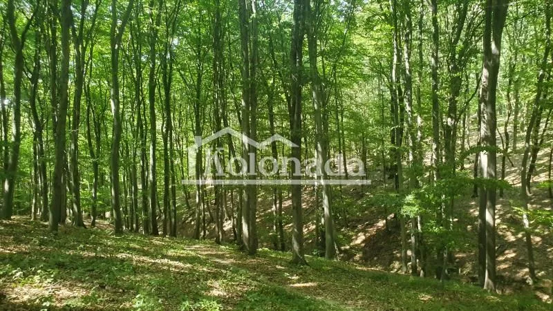 Prodaja, plac, 15600m², Sopot, Beograd