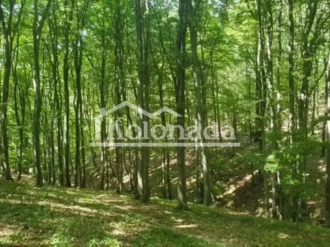Prodaja, plac, 15600m², Sopot, Beograd - image 5
