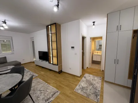 Izdavanje, jednosoban stan, 48m², Stari Aerodrom, Podgorica - image 10