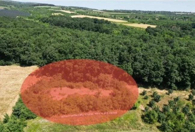Prodaja, plac, 1576m², Irig, Srbija