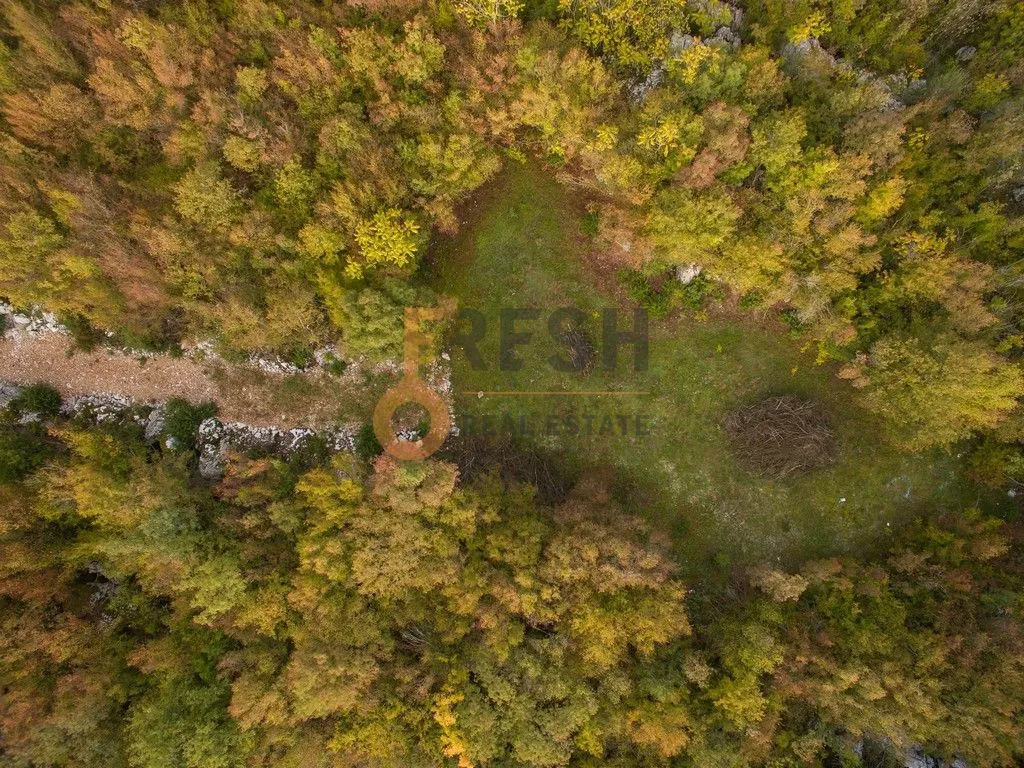 Prodaja, plac, 104804m², Danilovgrad, Crna Gora