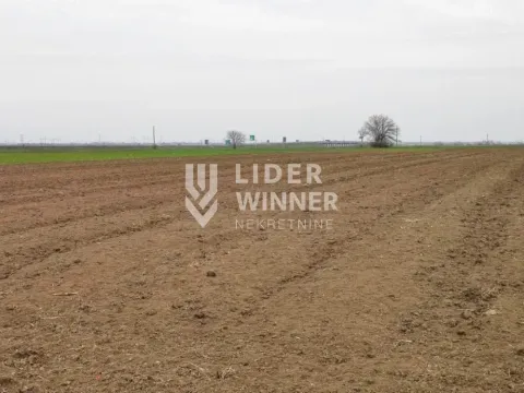 Prodaja, plac, 32930m², Jakovo, Surčin - image 5