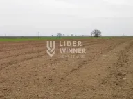 Prodaja, plac, Jakovo, Surčin - image 5