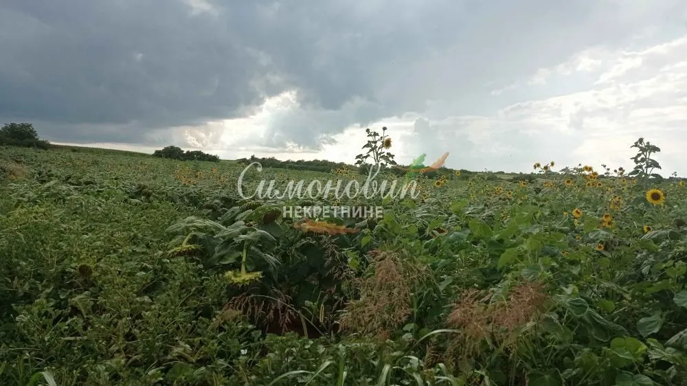 Sale, land lot, 2800m², Železnik, Beograd