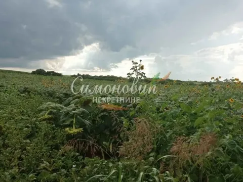 Sale, land lot, 2800m², Železnik, Beograd - image 5