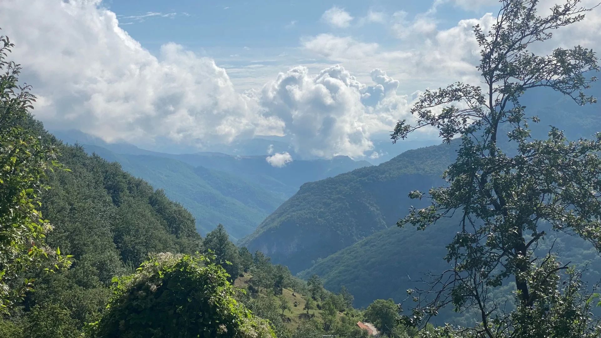 Prodaja, plac, 3754m², Plužine, Crna Gora