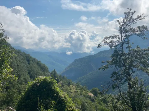 Prodaja, plac, 3754m², Plužine, Crna Gora - image 3