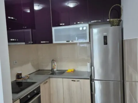 Izdavanje, jednosoban stan, 47m², Zabjelo, Podgorica - image 4