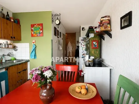 Prodaja, jednosoban stan, 49m², Zvezdara Sve Podlokacije, Beograd - image 4