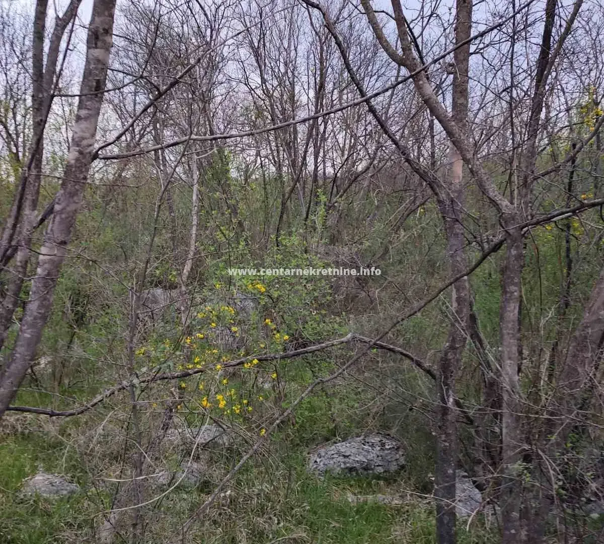 Prodaja, plac, 3200m², Donji Zagarač, Danilovgrad