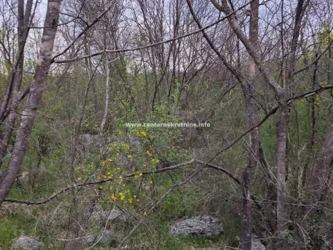 Prodaja, plac, 3200m², Donji Zagarač, Danilovgrad - image 4