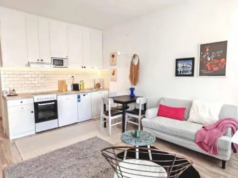 Rent, two bedroom apartment, 40m², Stari Grad, Beograd - image 3