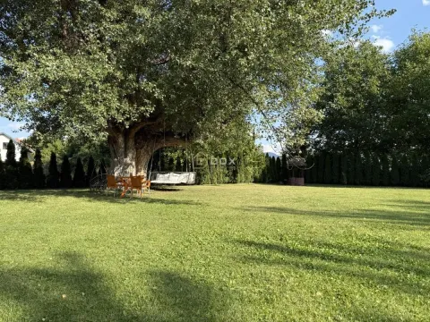 Sale, house, 180m², Donja Vrežina, Niš - image 5