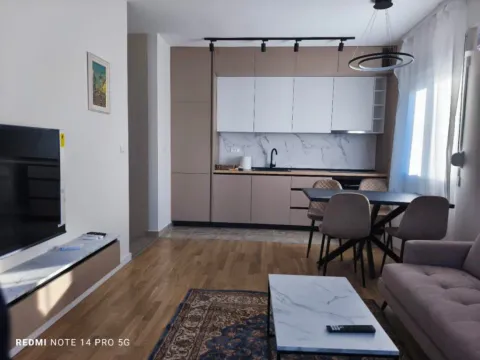 Prodaja, jednosoban stan, 43m2, Ostalo, Podgorica