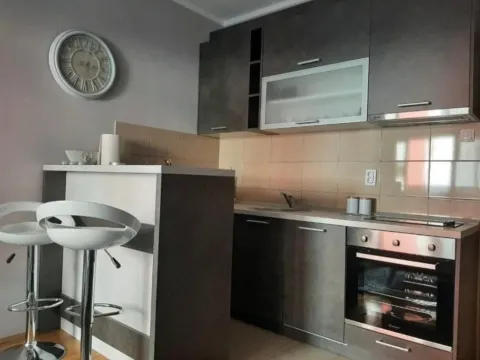 Izdavanje, garsonjera, 30m², Ljubović, Podgorica - image 2