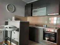 Izdavanje, garsonjera, 30m², Ljubović, Podgorica - image 2