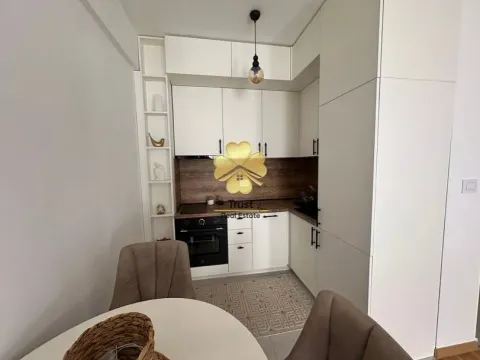 Izdavanje, jednosoban stan, 40m², Zabjelo, Podgorica - image 7