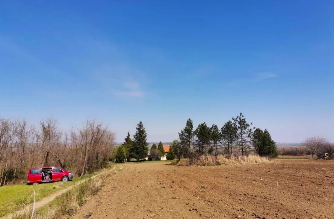 Sale, land lot, 1235m², Novi Slankamen, Inđija