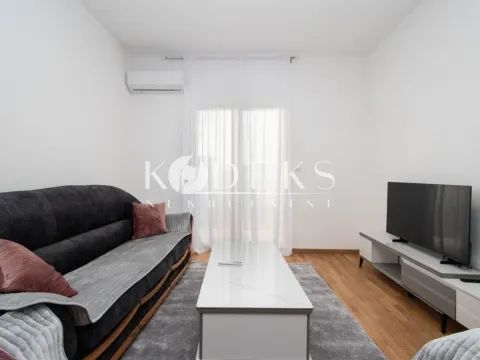 Izdavanje, jednosoban stan, 47m², Zabjelo, Podgorica - image 13