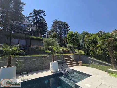 Prodaja, kuća, 380m², Sremska Kamenica, Petrovaradin - image 4
