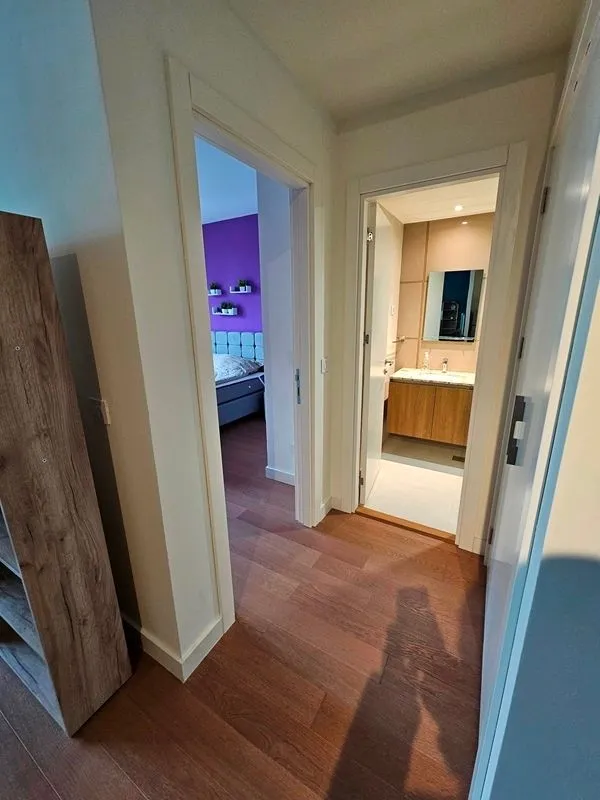 Izdavanje, dvosoban stan, 58m², Savski Venac, Beograd