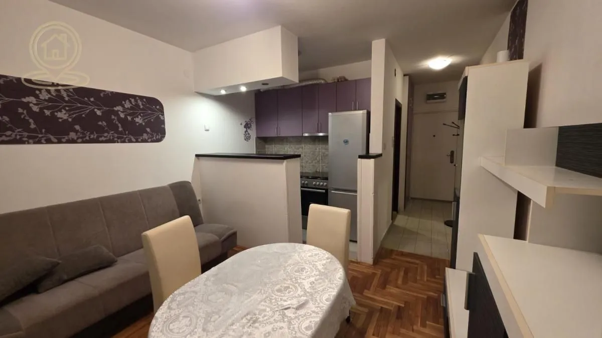 Izdavanje, garsonjera, 22m², Bulevar patrijarha Pavla, Novi Sad Sve Podlokacije