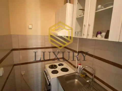 Izdavanje, jednosoban stan, 53m², Centar, Podgorica - image 10