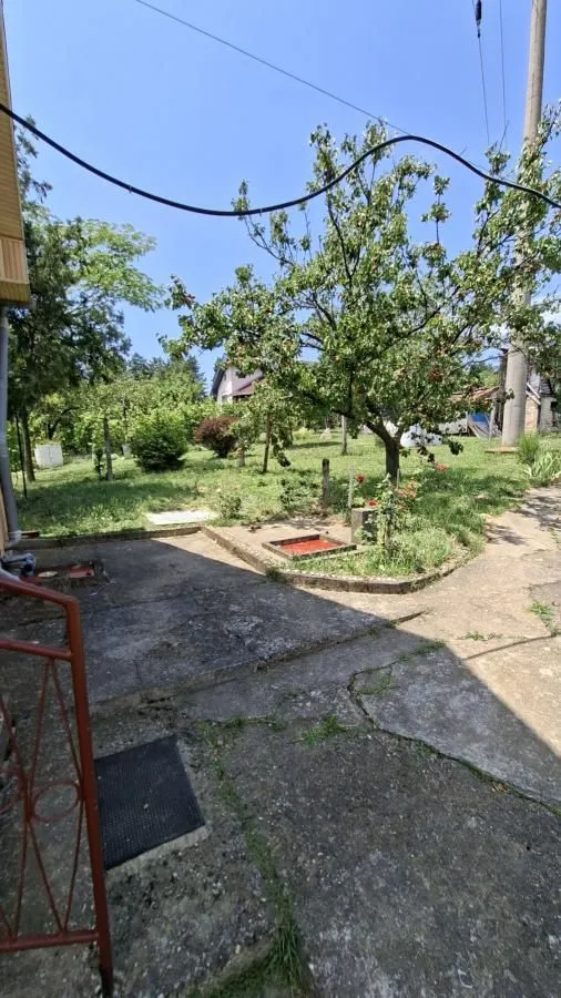 Prodaja, plac, 3000m², Bocke, Petrovaradin