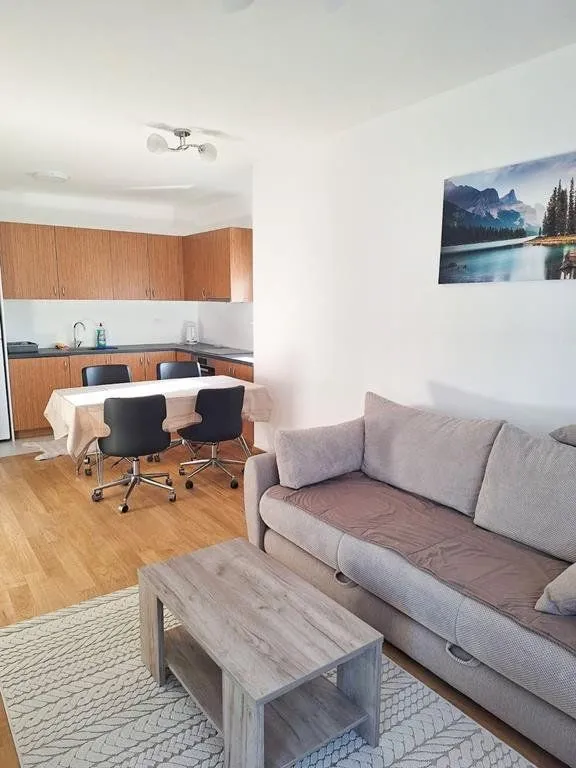 Izdavanje, jednosoban stan, 47m², New City, Podgorica