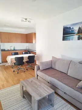 Izdavanje, jednosoban stan, 47m², New City, Podgorica - image 3