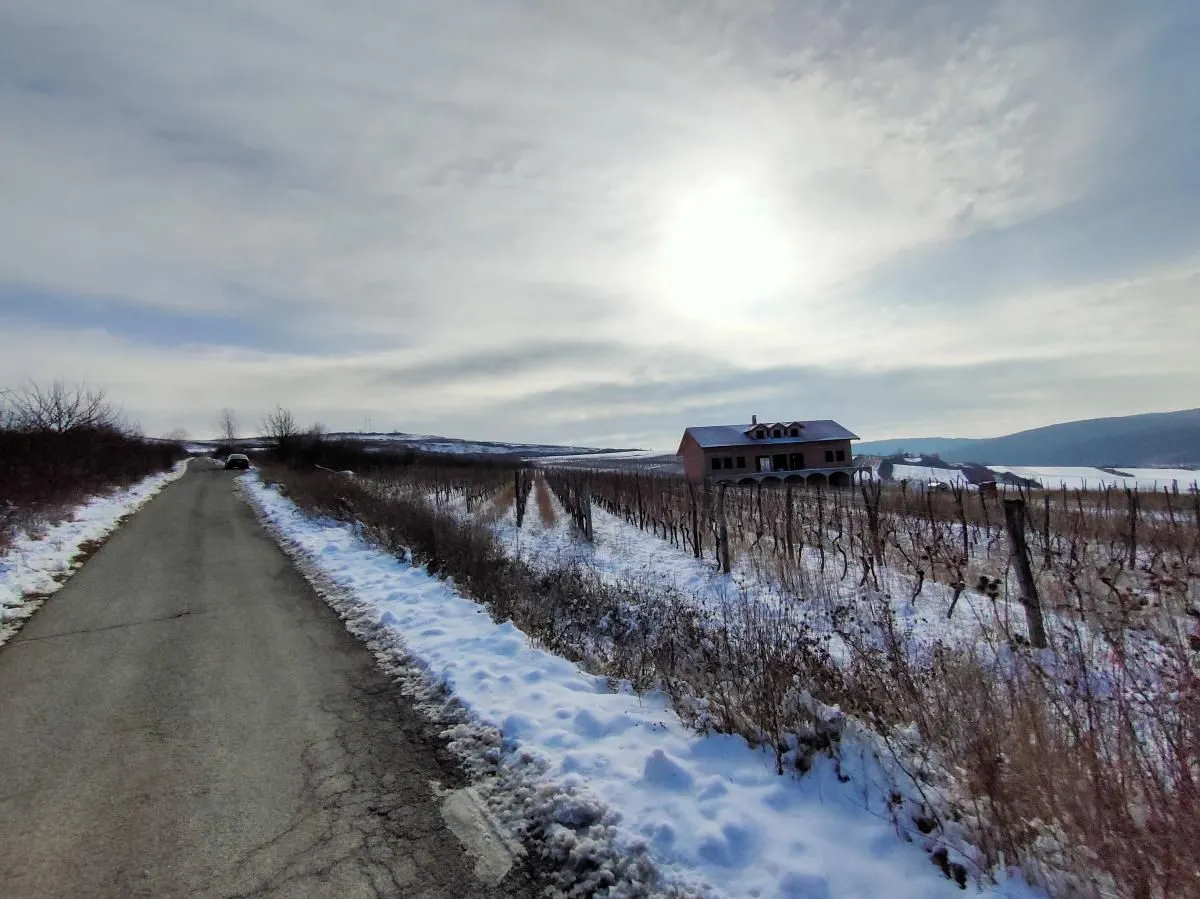 Prodaja, plac, 300m², Beočin, Srbija