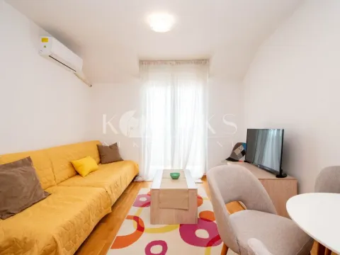 Rent, one bedroom apartment, 40m², Ljubović, Podgorica - image 2